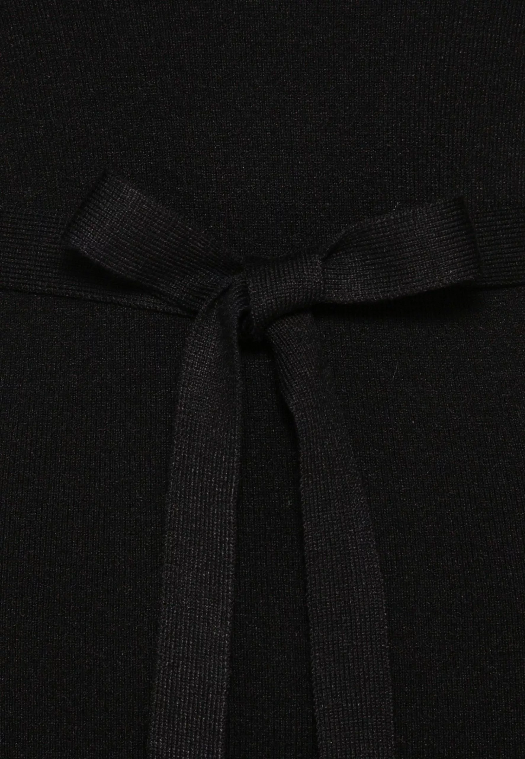 Rollkragen Ripp Mini Strickkleid Mit Gürtel - Jumper Dress - Black Anna Field Rollkragen Ripp Mini Strickkleid Mit Gürtel - Jumper Dress - Black -Anna Field Shop 62df7be7431643c485074fa8c58759cf scaled
